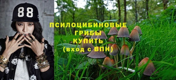 прущий лед Магас