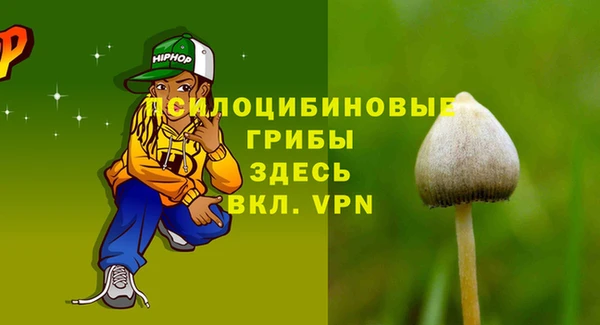 дурь Мегион