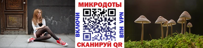 Галлюциногенные грибы Psilocybine cubensis Пятигорск
