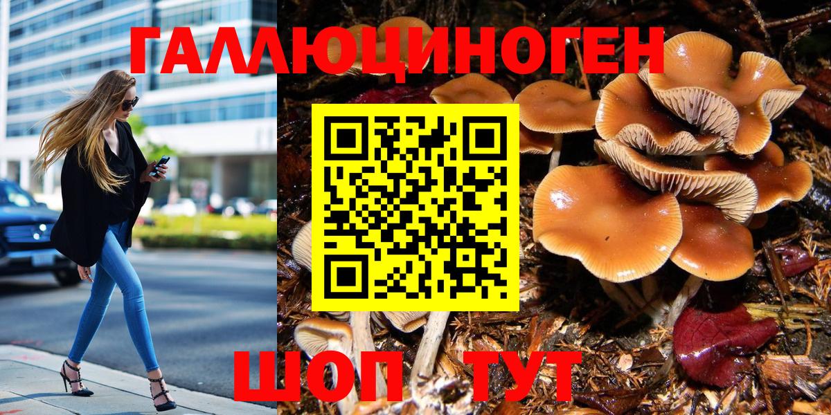 Псилоцибиновые грибы Magic Shrooms Пятигорск
